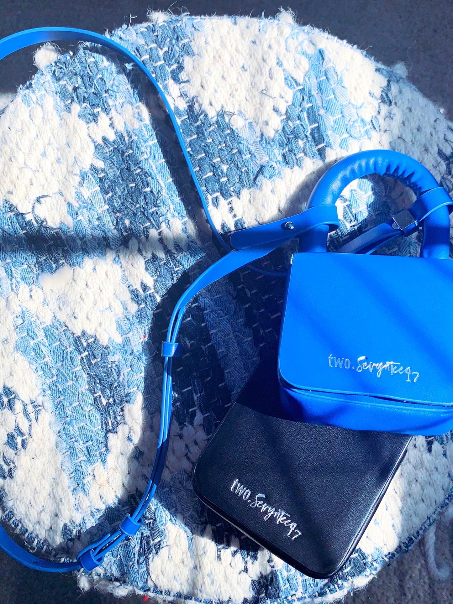 My Mini Companion Bag